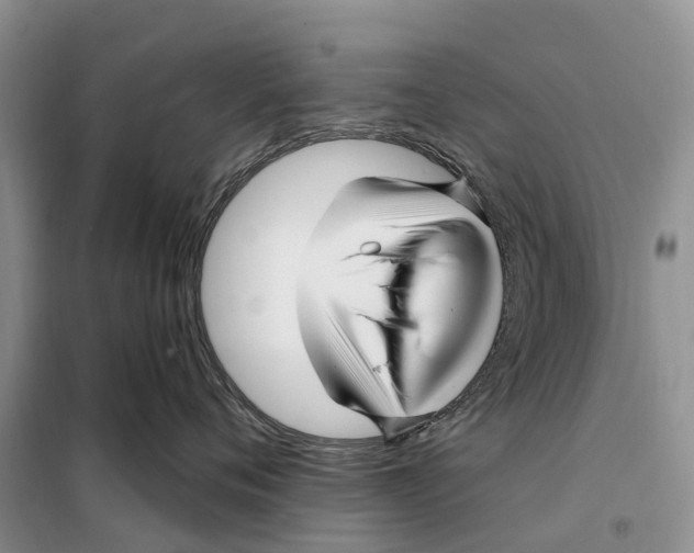 X0000097890720200804111018