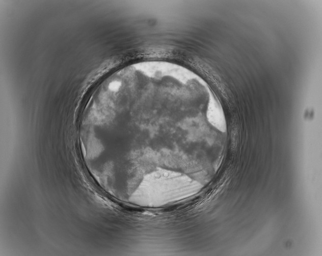 X0000097890721200804111017