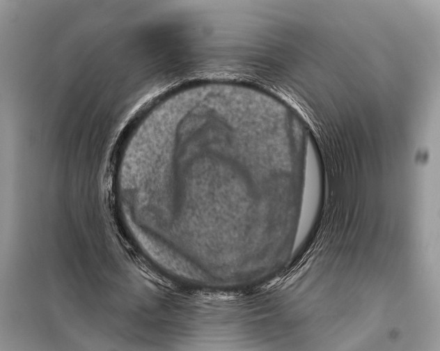 X0000097890723200804111017