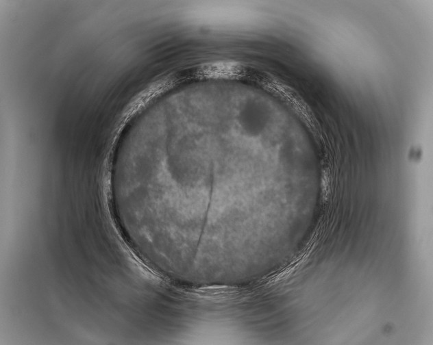 X0000097890725200804111017