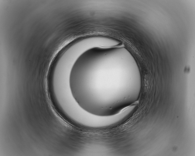 X0000097890726200804111017