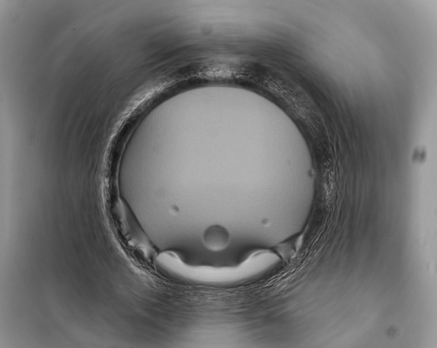 X0000097890728200804111018