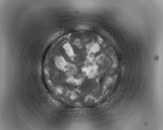 X0000097890729200804111018