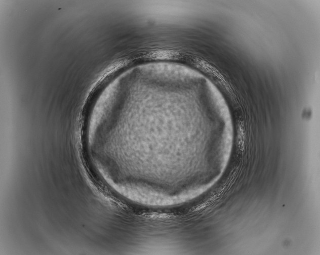 X0000097890730200804111018