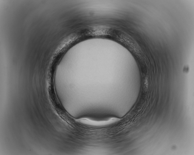 X0000097890732200804111018