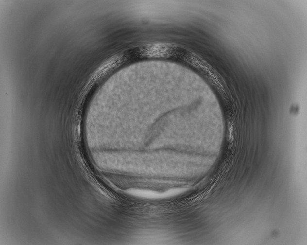 X0000097890733200804111018