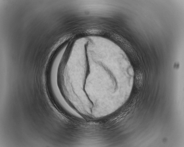 X0000097890734200804111018