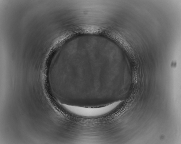 X0000097890736200804111018