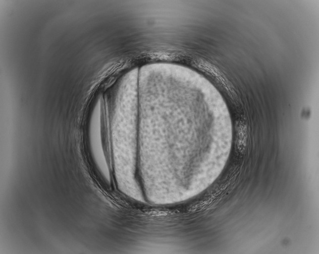 X0000097890738200804111018