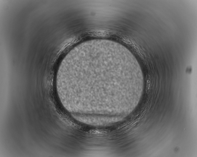 X0000097890739200804111018