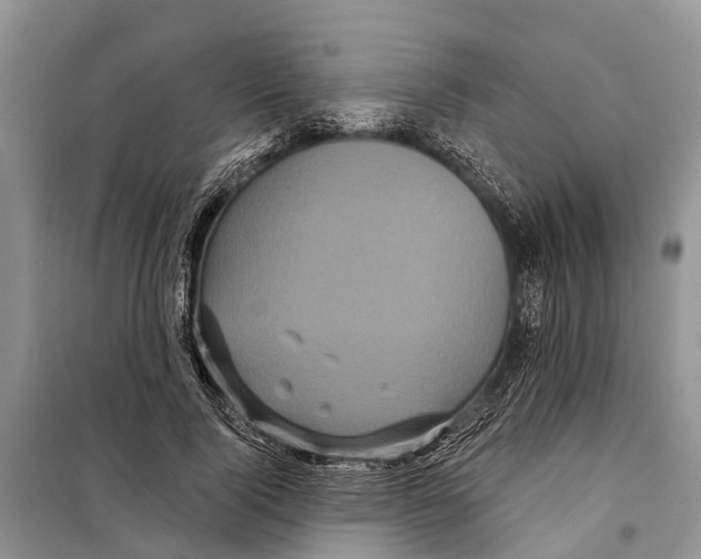 X0000097890740200804111018