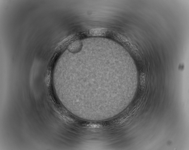 X0000097890741200804111018