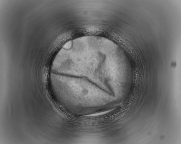 X0000097890742200804111018