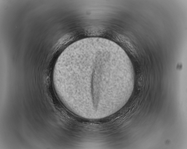 X0000097890743200804111018