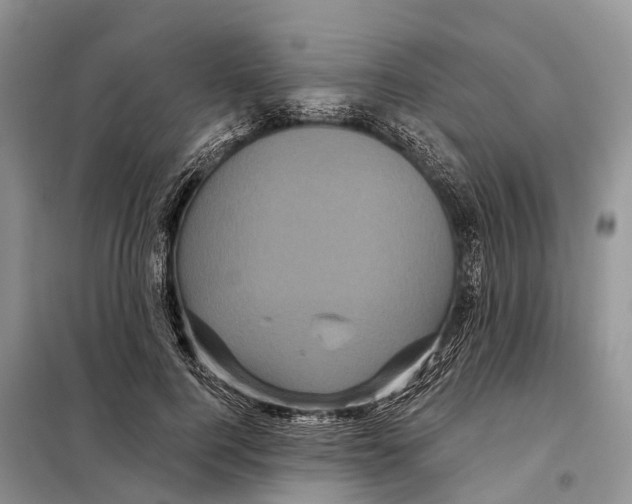 X0000097890744200804111018