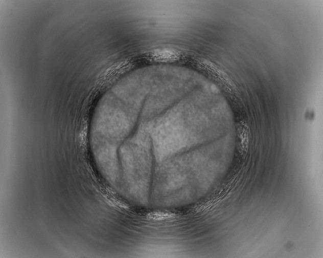 X0000097890745200804111018