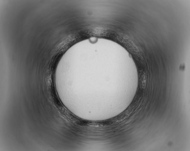 X0000097890746200804111018