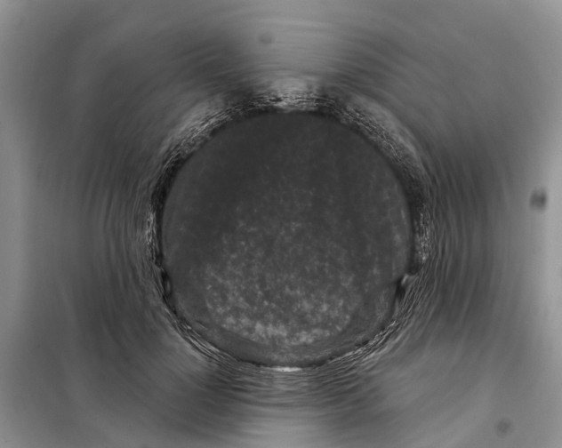 X0000097890748200804111018