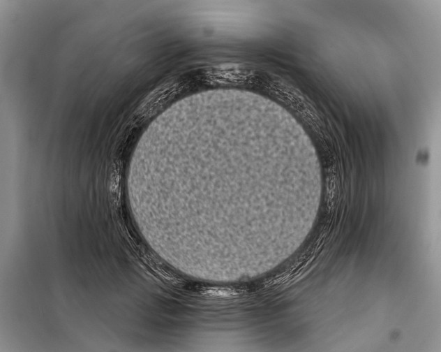 X0000097890749200804111018