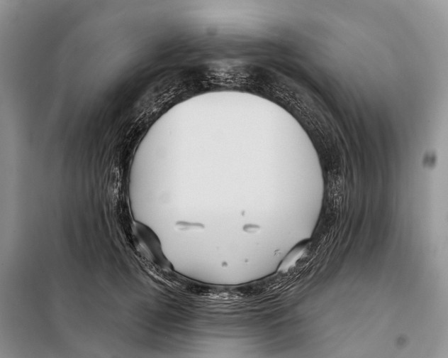 X0000097890752200804111018