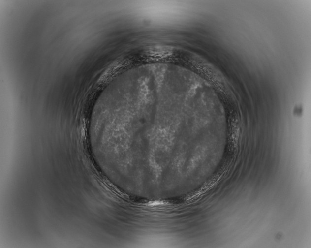 X0000097890758200804111018