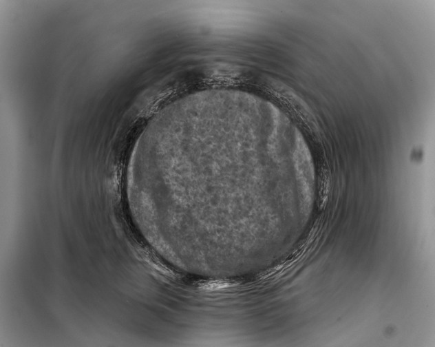 X0000097890759200804111018