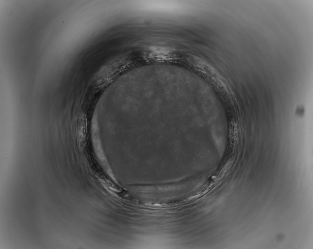 X0000097890760200804111018