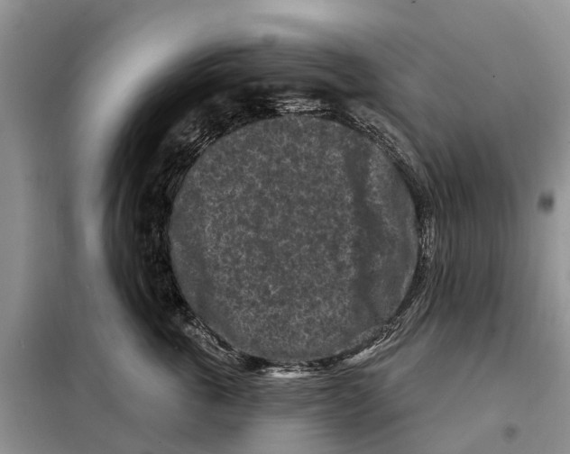 X0000097890763200804111018