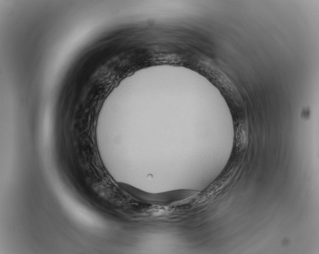 X0000097890764200804111018