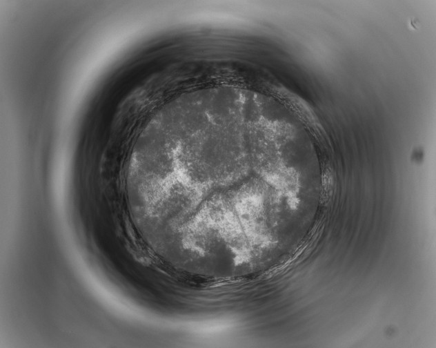 X0000097890765200804111018