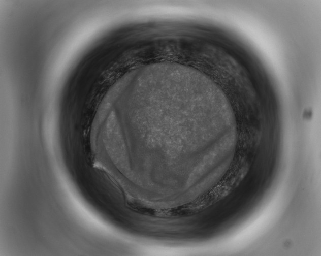 X0000097890766200804111018