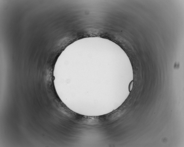 X0000097890768200804111018