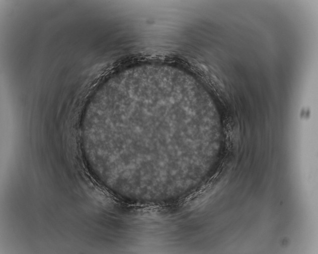 X0000097890769200804111017