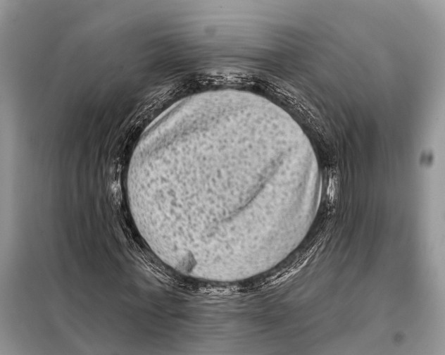 X0000097890771200804111017