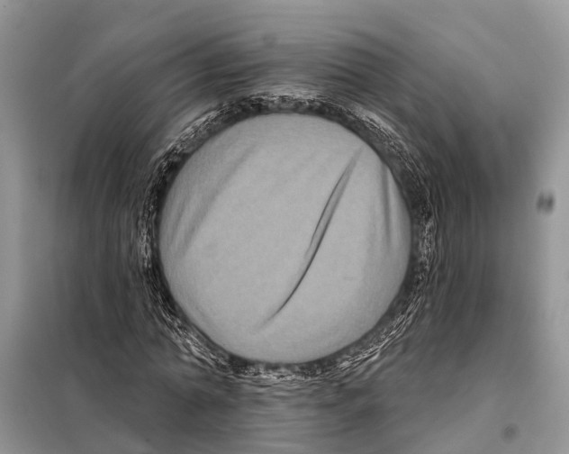 X0000097890774200804111017