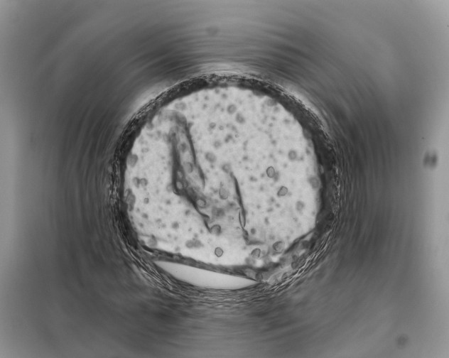 X0000097890775200804111017