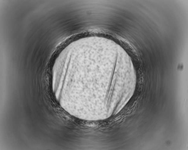 X0000097890776200804111017