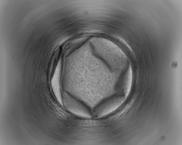 X0000097890777200804111017