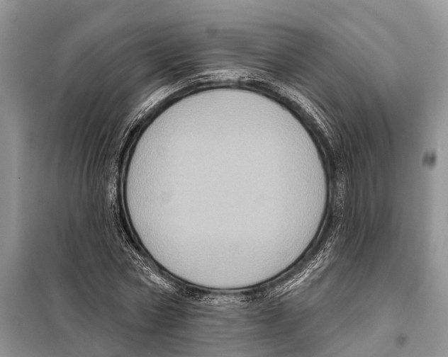 X0000097890778200804111017