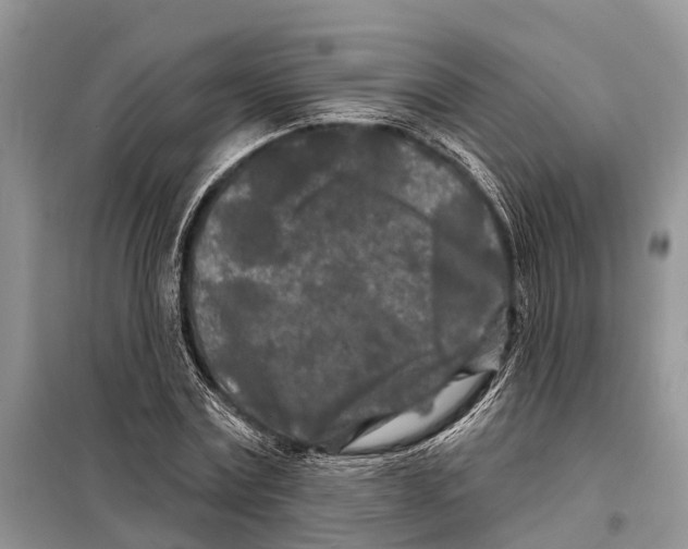 X0000097890779200804111017