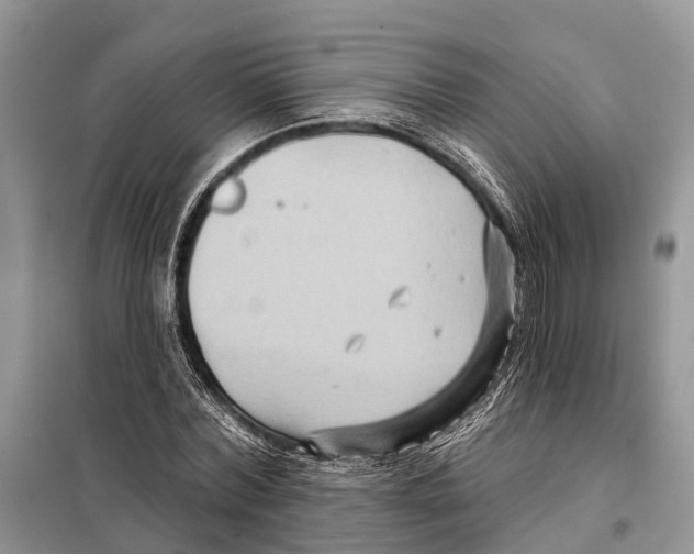 X0000097890780200804111017