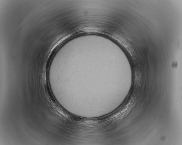 X0000097890782200804111017