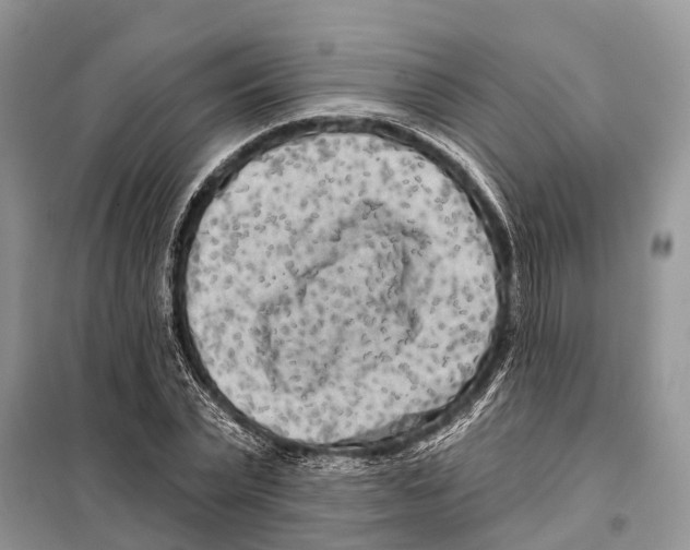 X0000097890783200804111017