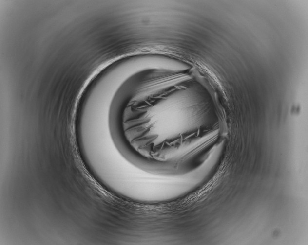 X0000097890784200804111017