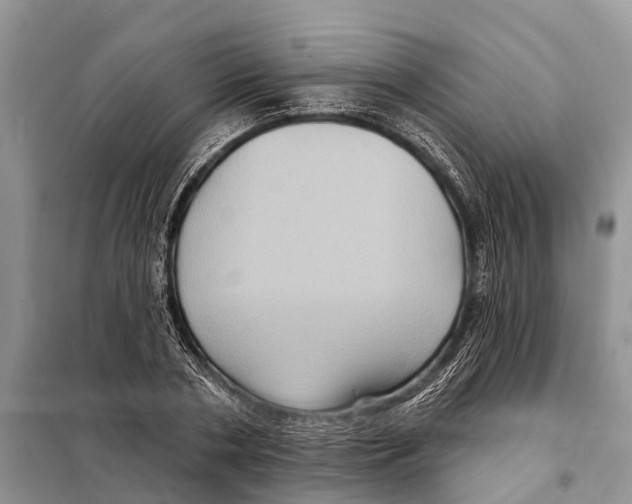 X0000097890786200804111017