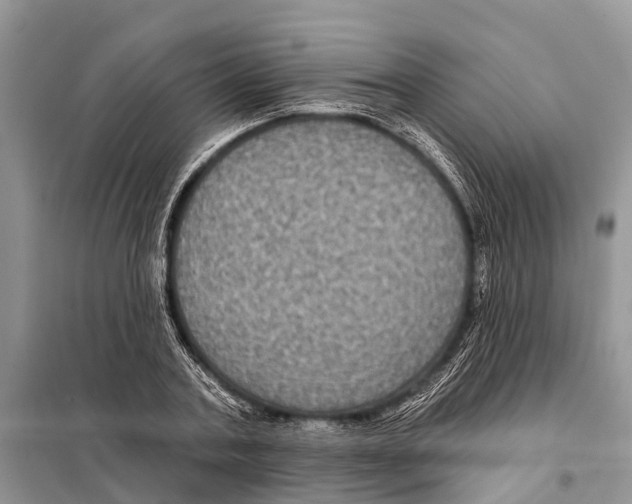 X0000097890787200804111017