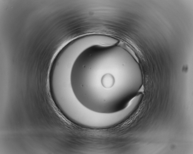 X0000097890788200804111017