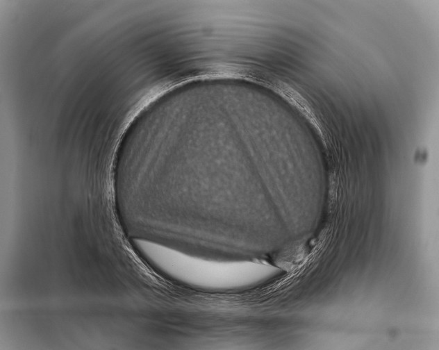 X0000097890789200804111017