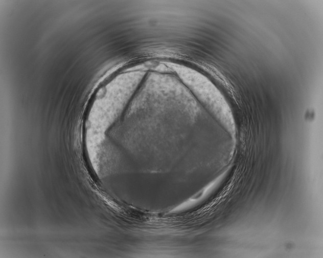 X0000097890790200804111017