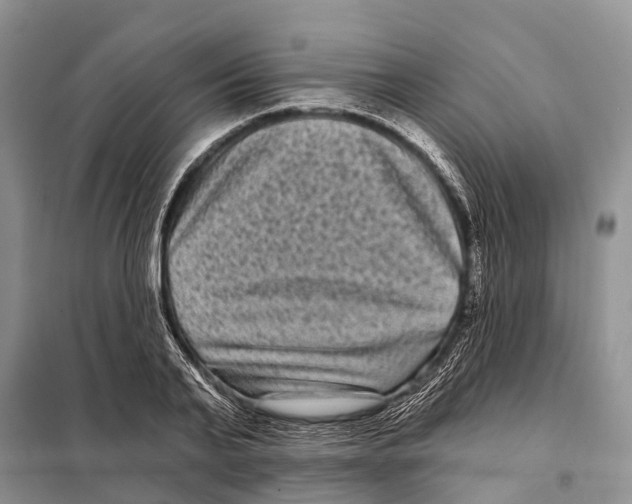 X0000097890791200804111017